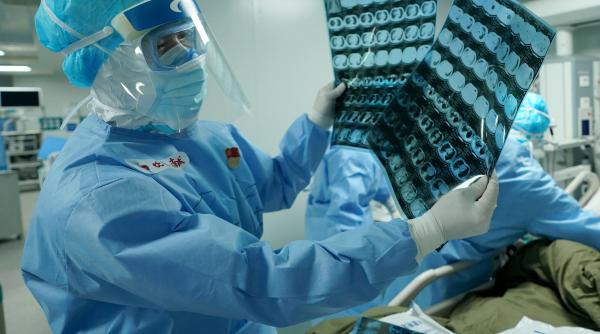 studiu gatitul cu biomasa precum lemnul poate duce la afectiuni pulmonare