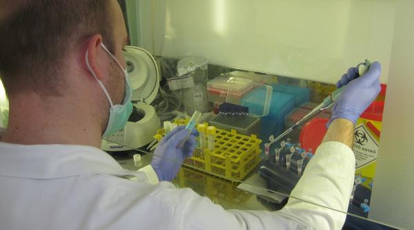 spitalul victor babes din timisoara are un analizator automat de imunologie aparat unic in vestul tarii