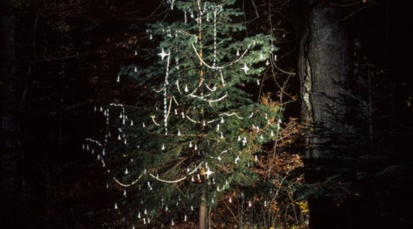 pictorul stefan caltia daruieste bradul copilariei pentru educatia copiilor din medii defavorizate