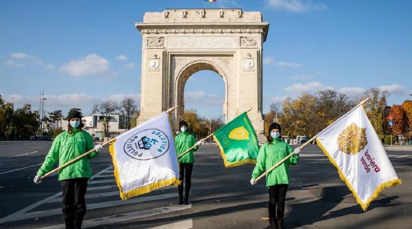 parada verde cu roaba si harlet