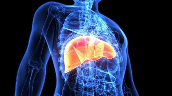 boala de ficat gras poate face pasul inapoi