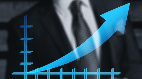 bvb randament de aproape 50 intr o saptamana