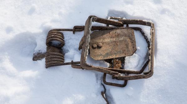 proiect transfrontalier contra braconajului