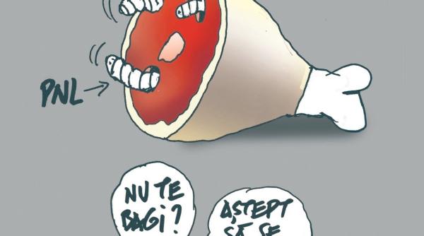 consultarile de la palatul cotroceni toate partidele au intrat cu propria agenda si au iesit identic