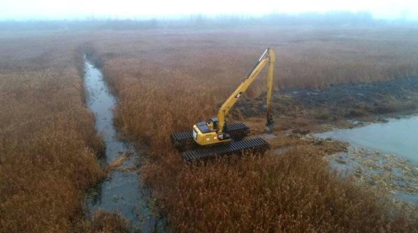 reconstructie ecologica pe malul dunarii