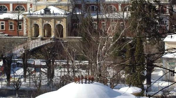 un inginer rescrie cronica bailor herculane