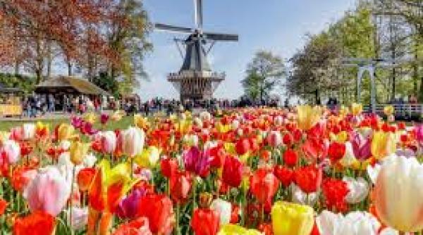 campioni detasati la constructii in ue