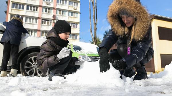 horoscop zilnic 20 ianuarie racii invata sa munceasca in echipa