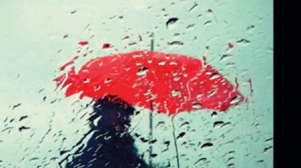 lecturi de suflet de la editura litera