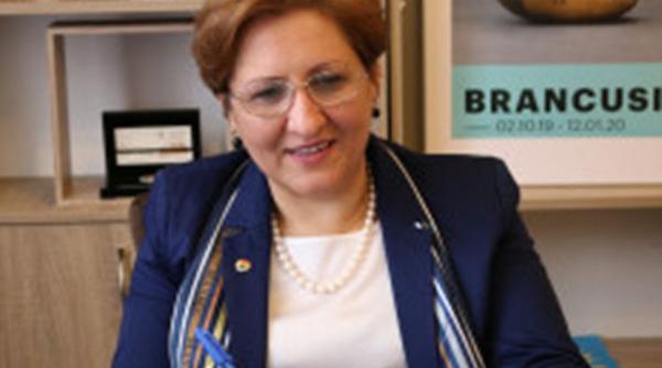 bruxelles diplomatie publica si culturala de varf la colegiul europei