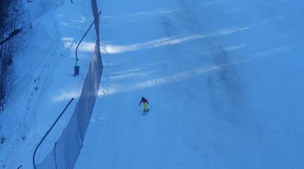 un urs s a plimbat pe o partie din predeal printre zeci de schiori