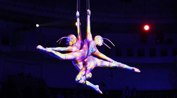 accident grav la circul metropolitan bucuresti acrobat in stare critica