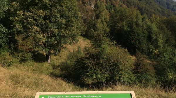 scoala despre natura pasaport pentru viitor