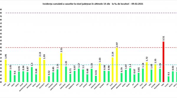 grafic timis singurul judet care este in zona rosie