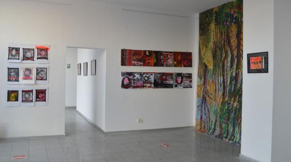 finisajul expozitiei jurnal de introspectie v la artoteca bibliotecii metropolitane bucuresti