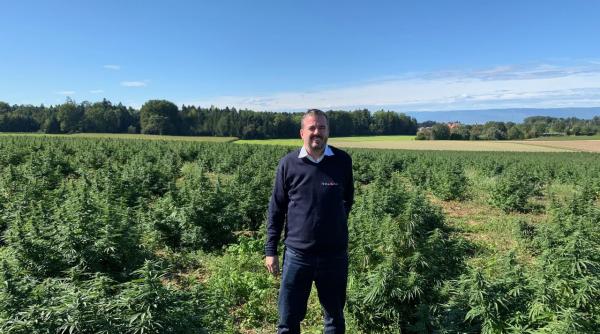 efectele uleiului cbd in cazul persoanelor care sufera de epilepsie si boli neurodegenerative