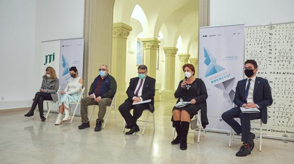 mirrors of brancusi sau reinterpretarea marelui sculptor in limbaj contemporan