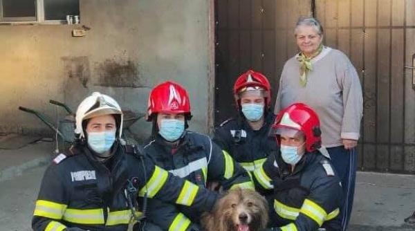 timis misiune riscanta pentru salvarea unui caine cazut intr un put adanc