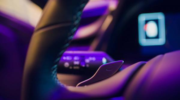 padele volan accesorii auto cu personalitate