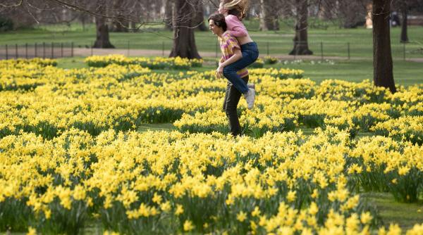 horoscop saptamanal 1 7 martie scorpionii au o saptamana plina de agitatie