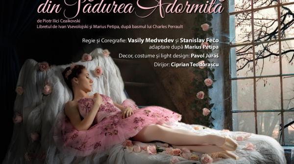 frumoasa din padurea adormita transmis online in dar de martisor