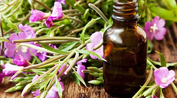 terapia bach cele 38 de remedii preparate din flori