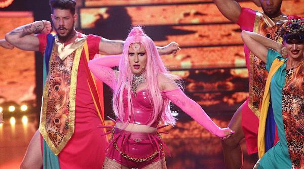 incident la hollywood cainii rapiti ai cantaretei lady gaga au fost gasiti