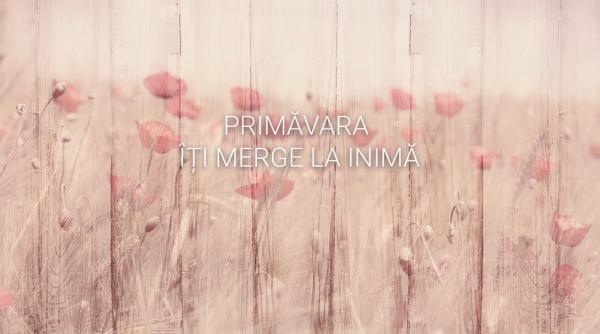 peste 30 de vedete din televiziunea romana dau startul schimbarii