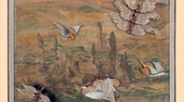 repertoriul tnb la inceput de martie