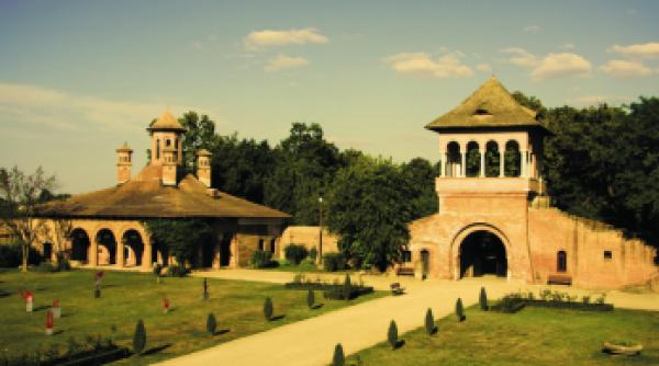 efectul mogosoaia revine la icr programul de burse pentru traducatori ai literaturii romane o prioritate in 2021