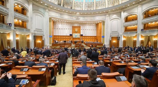 din ciclul si eu acum ce ma fac daca am ramas fara coledzi simplu te angajezi la parlament consilier sau director