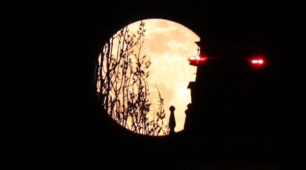 luna noua din martie 2021 perfecta pentru un nou inceput