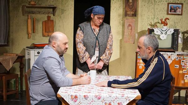 spune ceva frate un proiect marca ion sapdaru la nationalul iesean