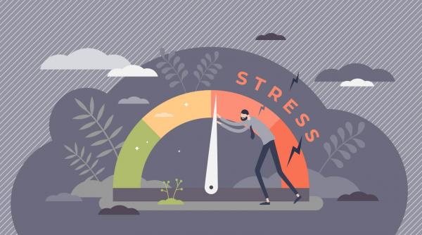 tu stii care sunt efectele stresului pe durata lunga si cum pot fi combatute natural afla acum