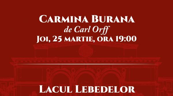 carmina burana si lacul lebedelor transmise online de catre opera nationala bucuresti