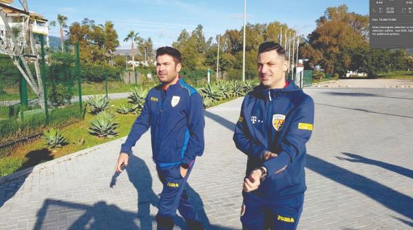 toate sase s decisive