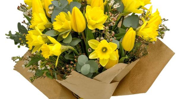 cum aduc florile stralucirea si bucuria in casele noastre