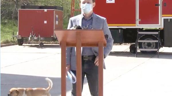 si cainii fug de florin citu cand ii sugereaza lui vlad voiculescu demisia de onoare