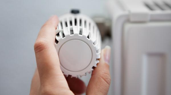 cet vest a fost modernizata de japonezi care este valoarea proiectului