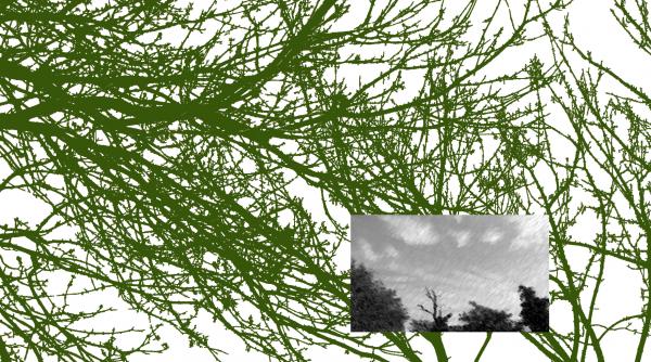 la invitatia arbor art room artista maia stefana oprea debuteaza in realitatea virtuala reputata artista expune in premiera arta digitala