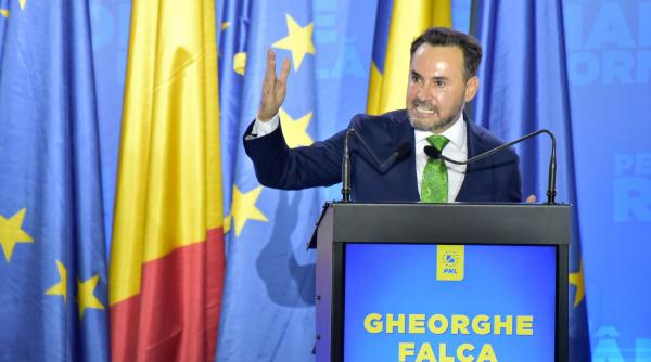 gheorghe falca spune ca e regretabil ca ghinea nu a folosit experienta romanilor pentru pnrr