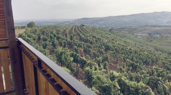 p investitii in pandemie crama basilescu a mizat pe dezvoltare in turism viniviticol