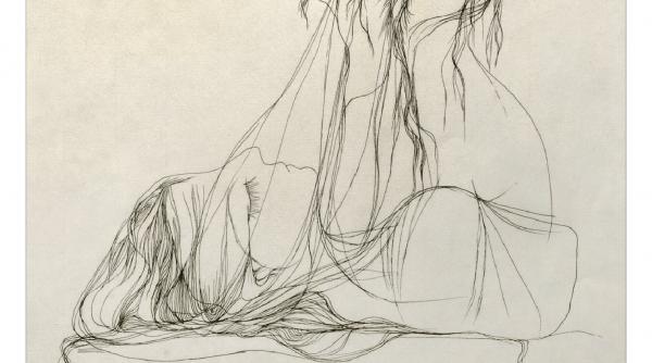 poezia ilustratiei ligia macovei si lirica lui tudor arghezi