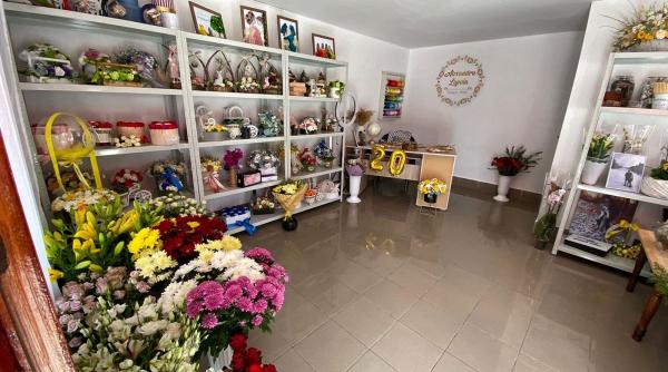 o tentativa anticoruptie a psd a distrus unitatile protejate