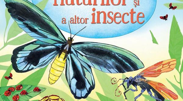 oameni si insecte dintr o alta perspectiva