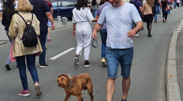 strazi deschise un proiect cu gropi si fara apa calda