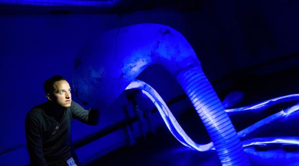 arcub deschis de noaptea muzeelor cu vernisajul expozitiei interactive i human