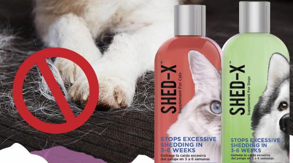 p supliment nutritiv impotriva naparlirii excesive la caini si pisici shed x