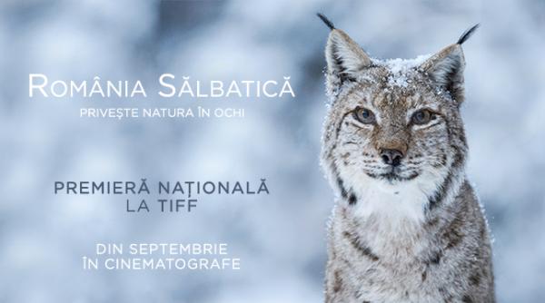 romania salbatica cel mai vast proiect de film documentar desfasurat in tara noastra va avea premiera nationala la tiff