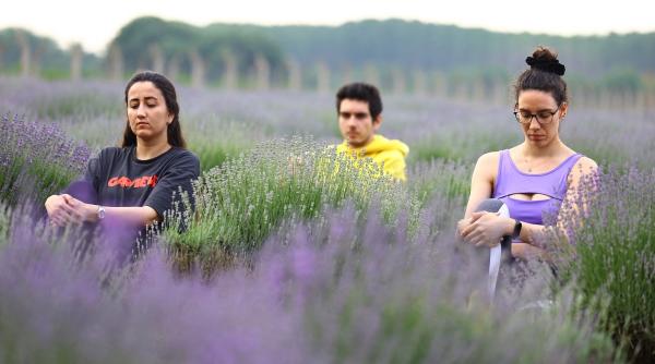 zodiile care evita intalnirile romantice